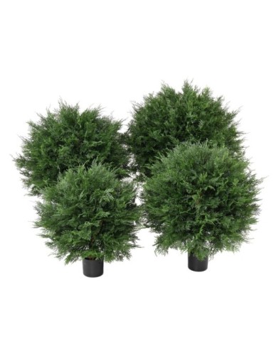 CYPRES DE LAWSON BOULE UV