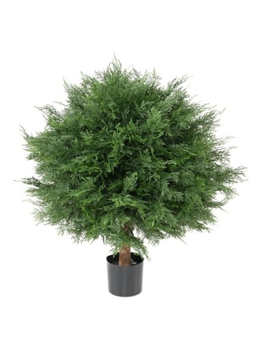 ZYPRESSE LAWSON KUGEL UV