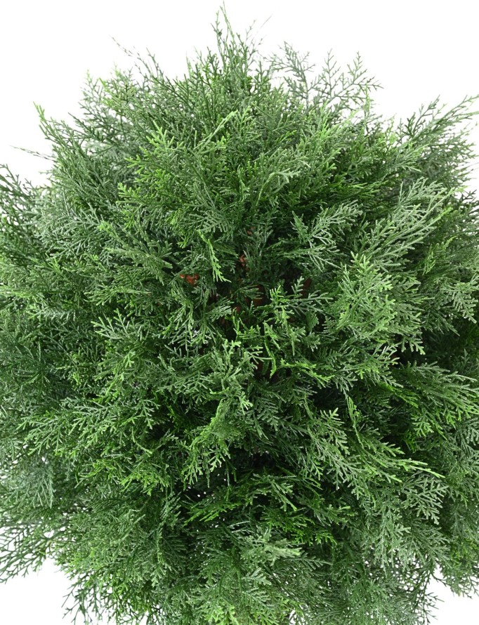 CYPRESS (LAWSON) BALL UV