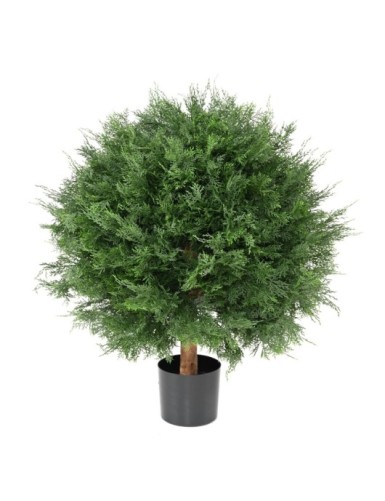 ZYPRESSE LAWSON KUGEL UV