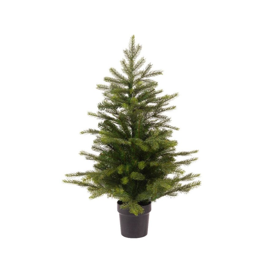 TANNE MINI (Weihnachtsbaum) GRANDIS