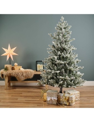 TANNE (Weihnachtsbaum) ALLISON SCHNEEBEDECKT