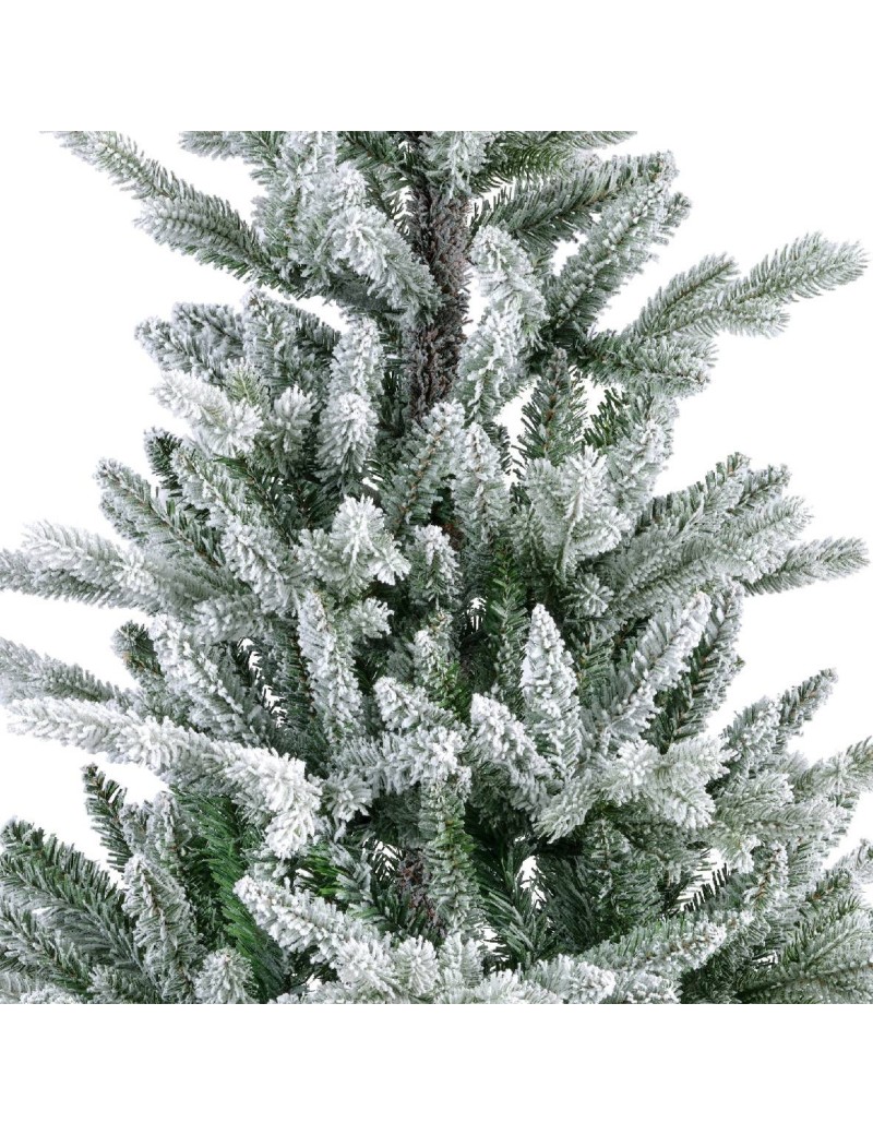 TANNE (Weihnachtsbaum) ALLISON SCHNEEBEDECKT