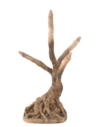 TRONCO DE BONSÁI FICUS