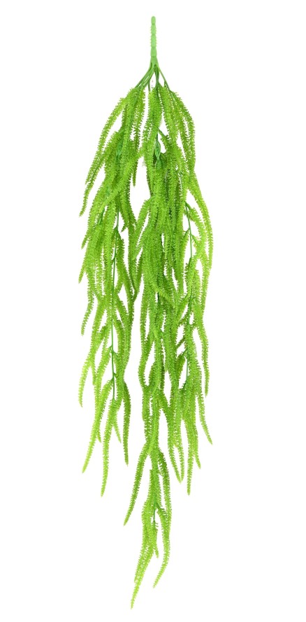 CAREX CÁRICE COLGANTE