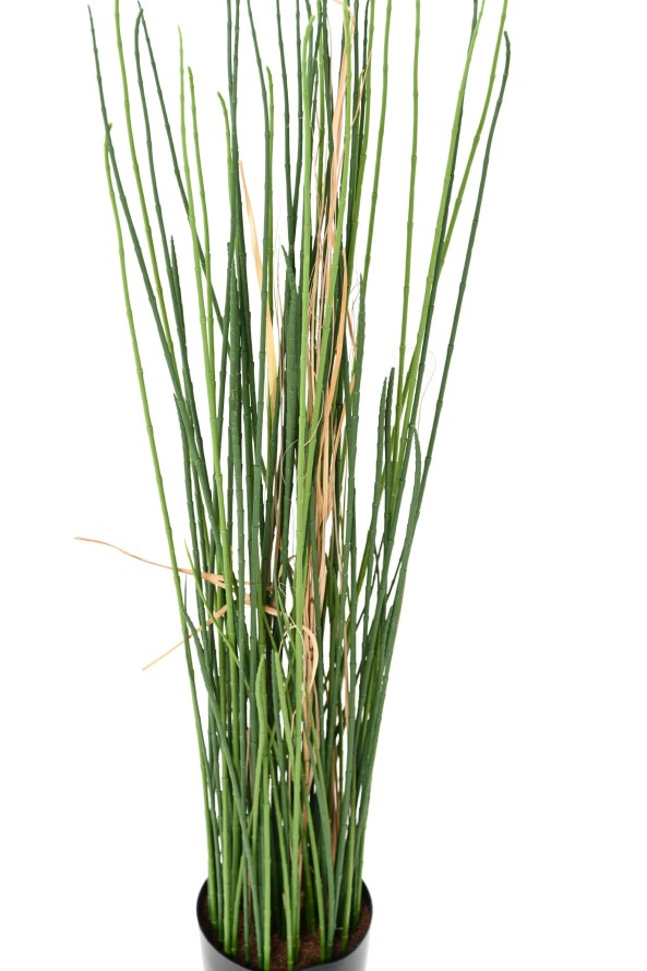 PRESLE HIERBA RESISTENTE A LOS RAYOS UV 100