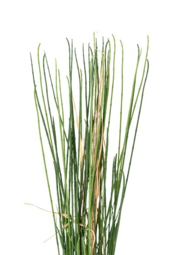 PRESLE HIERBA RESISTENTE A LOS RAYOS UV 100