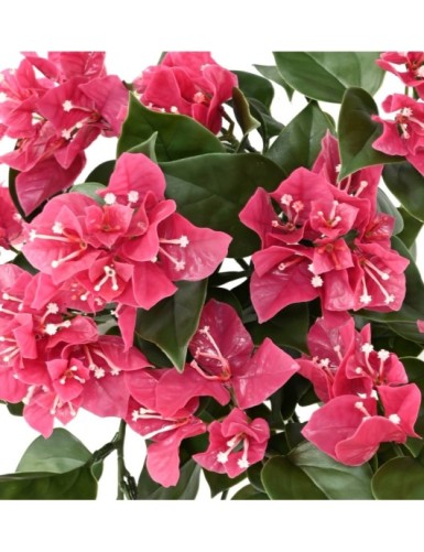 BUGANVILLA LARGE COLGANTE RESISTENTE A LOS RAYOS UV