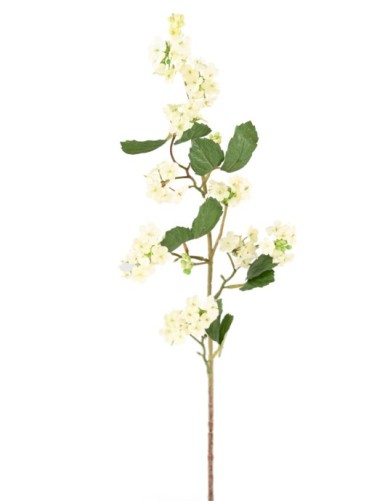 VIBURNUM (SCHNEEBALL) 85