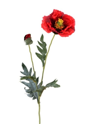 MOHN 72