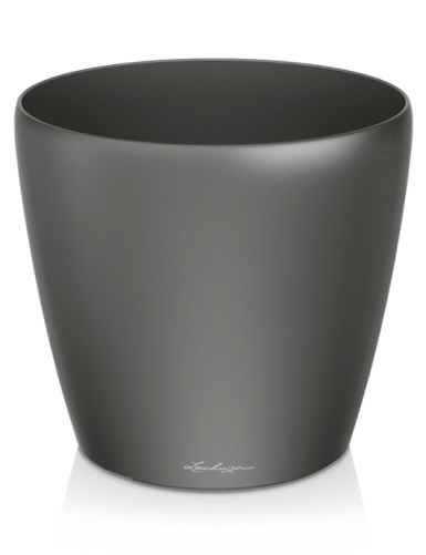 Classico Premium –...