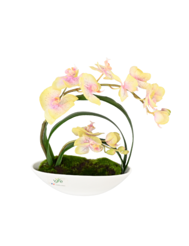 TISCHGESTECK PHALAENOPSIS GELB