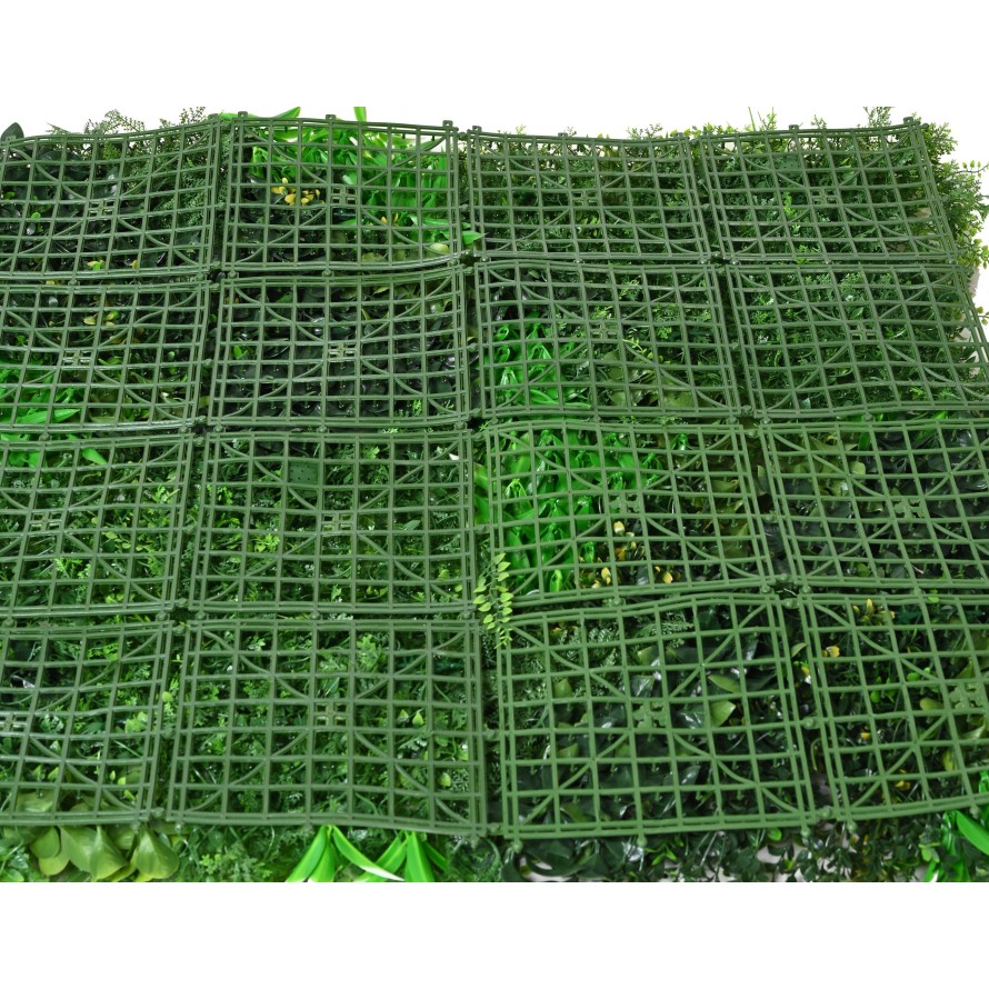 SPHAGNOPSIDA MOSS 50*50