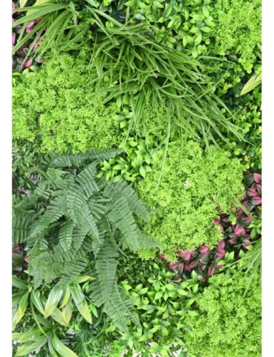 PANEL DE JARDÍN VERTICAL K 100*100