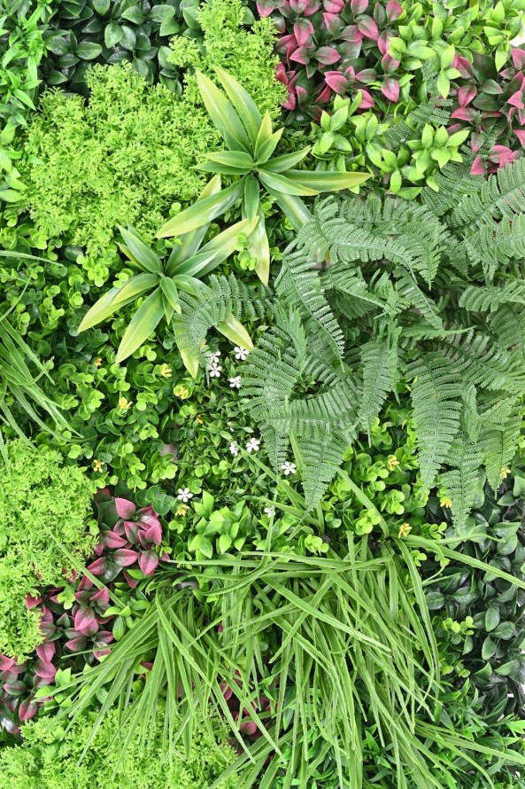 WAND PLATTE K 100 × 100