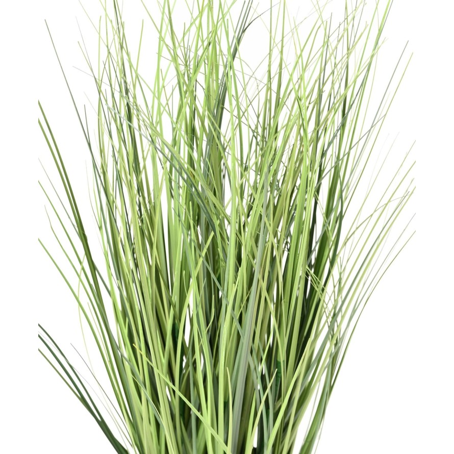 HIERBA DE CEBOLLA NEW V