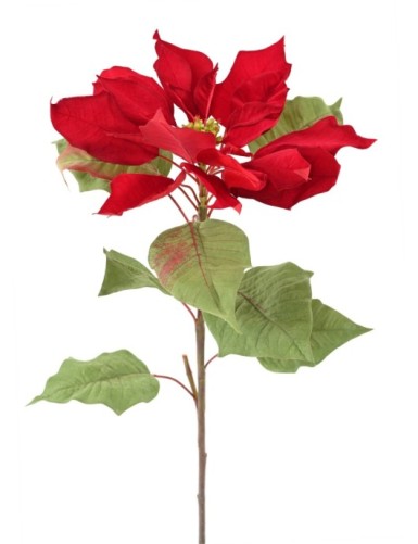POINSETTIA TALLO LARGE