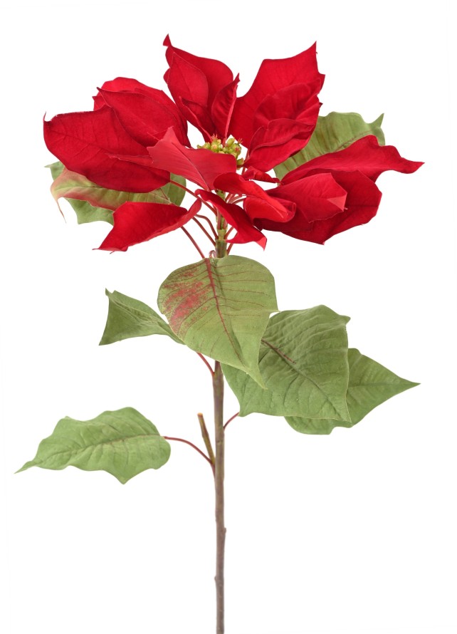 POINSETTIA TALLO LARGE