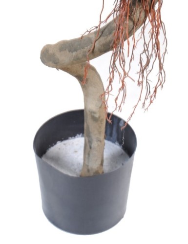 FICUS ESPIRAL 2 ESFERAS