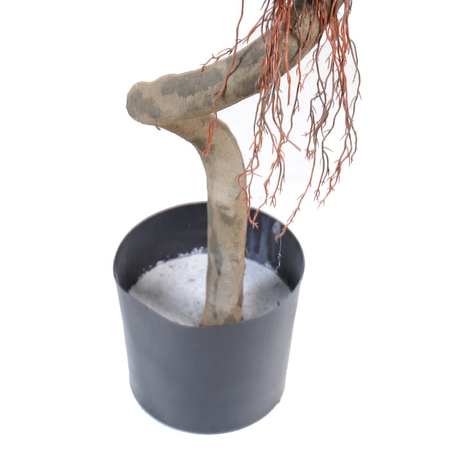 FIKUS SPIRALE 2 KUGELN