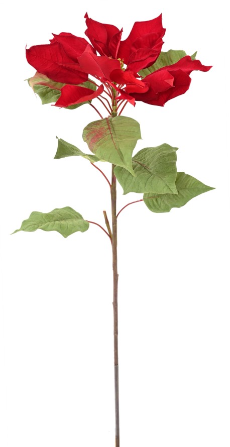 POINSETTIA TALLO LARGE