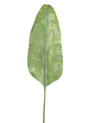 BANANENBAUM BLATT GIANT