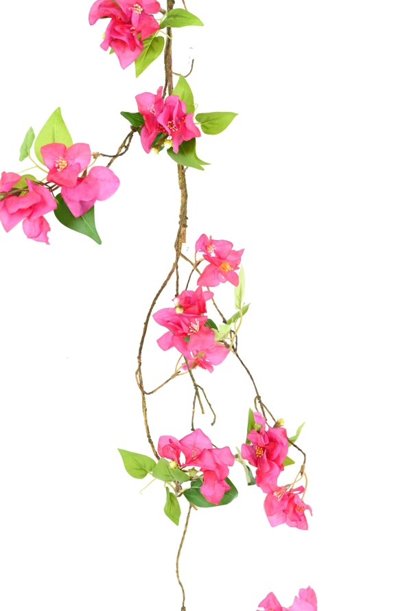 BOUGAINVILLEA (Drillingsblume) GIRLANDE 130