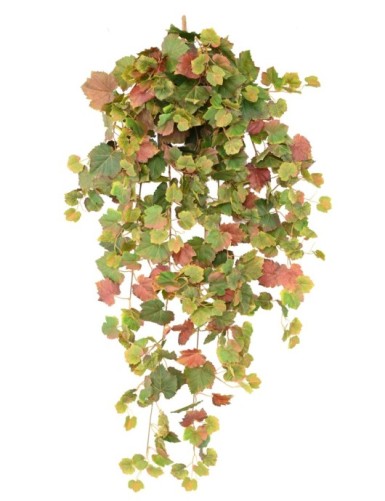 WEINREBE HÄNGEKUNSTPFLANZE 120