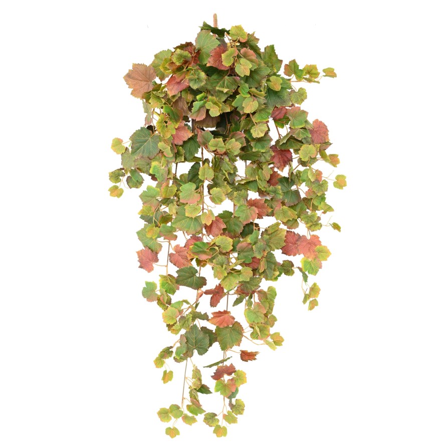 WEINREBE HÄNGEKUNSTPFLANZE 120