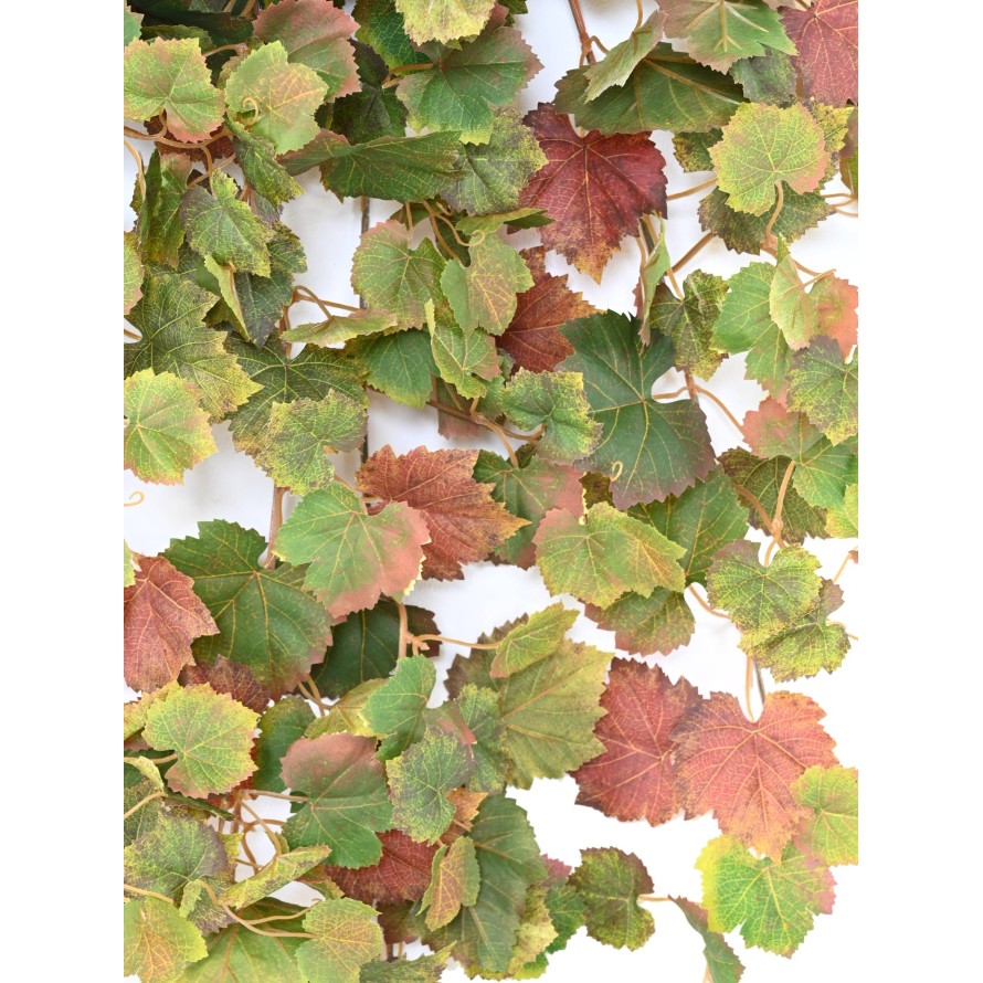 WEINREBE HÄNGEKUNSTPFLANZE 120