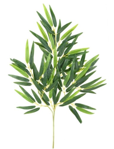 BAMBÚ RAMA ECO