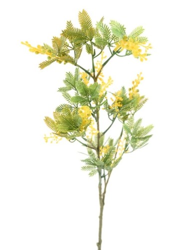 MIMOSE 80