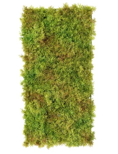 MOSS DEKOPLATTE 50 25