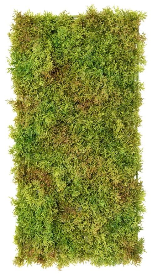 MOSS DEKOPLATTE 50 25