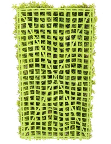 MOSS DEKOPLATTE 50 25