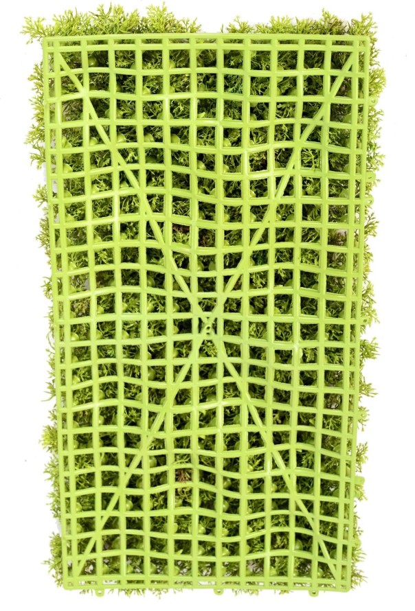 MOSS WALL PANEL 50 25