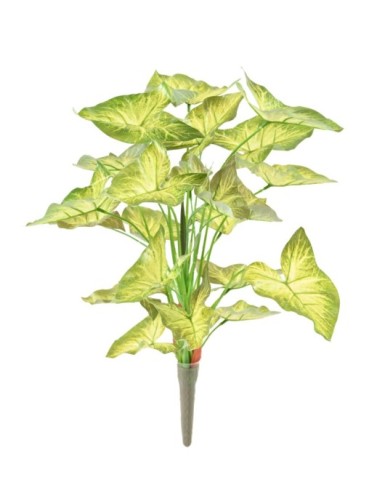 SYNGONIUM STECKSTAB 45