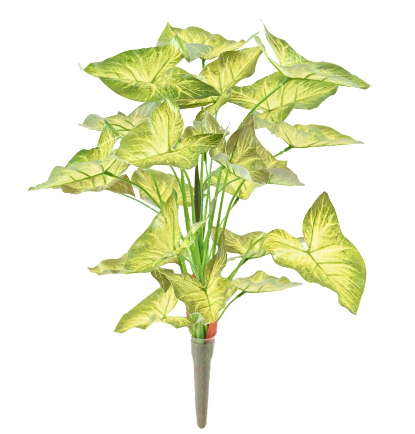 SYNGONIUM STECKSTAB 45