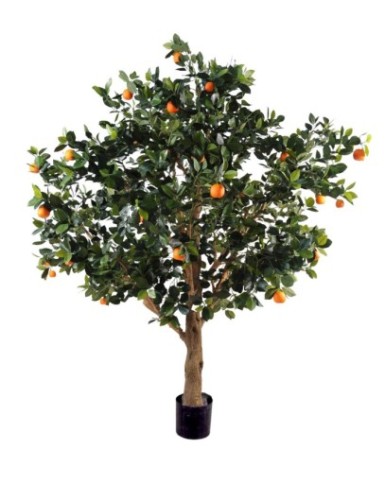 ORANGENBAUM