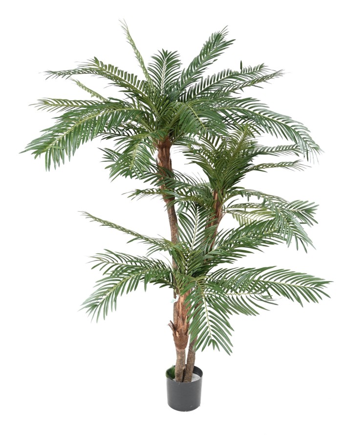 PALMERA 3 TRONCOS NEW TF