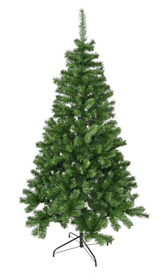 KANADISCHE TANNE (Weihnachtsbaum)