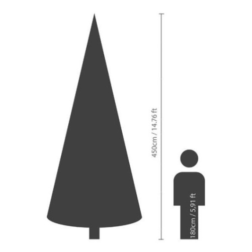 KANADISCHE TANNE (Weihnachtsbaum)