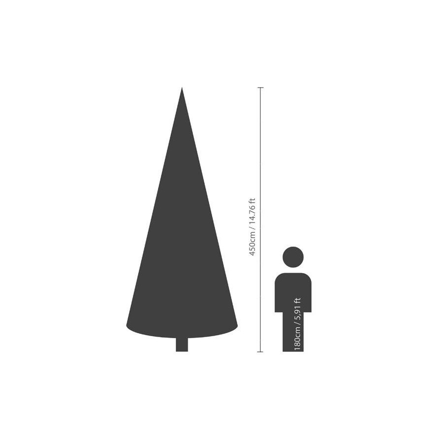 KANADISCHE TANNE (Weihnachtsbaum)