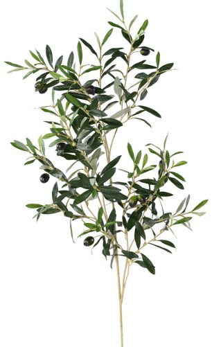 OLIVENBAUM ZWEIG 109 cm...