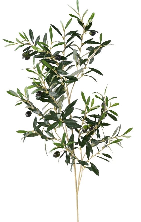 OLIVO RAMA 109 CM *306*12FT