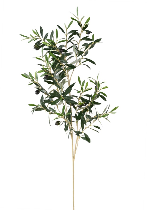 OLIVIER SPRAY 109CM *306*12ft