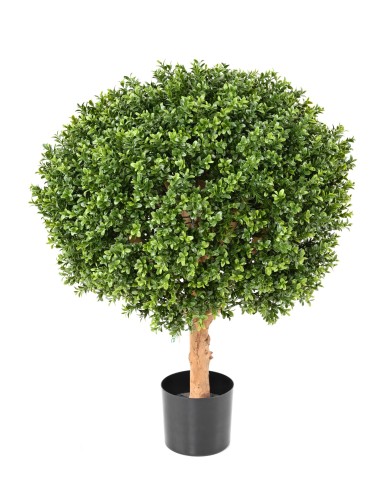 BUCHSBAUMKUGEL NEW...