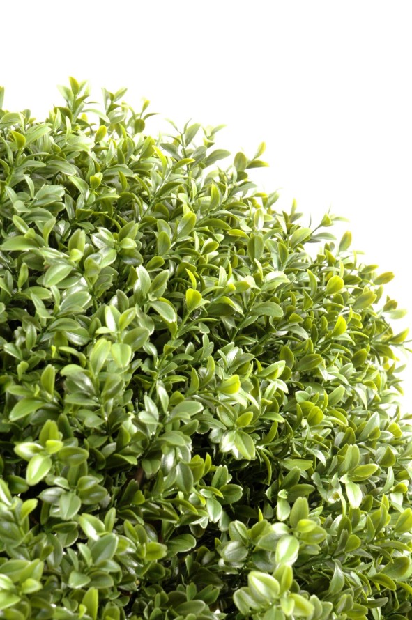 BOXWOOD BALL NEW UV RESISTANT