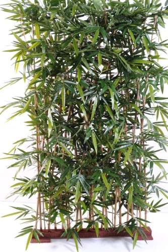 BAMBUS NEW HECKE SOCKEL 95