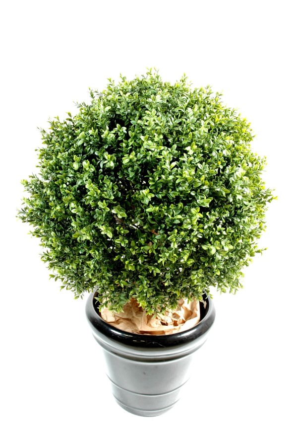 BOXWOOD BALL NEW UV RESISTANT